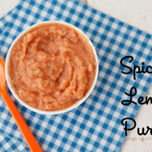 Spiced Lentil Puree Baby Food from Weelicious