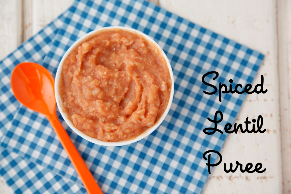 Spiced Lentil Puree Baby Food from Weelicious