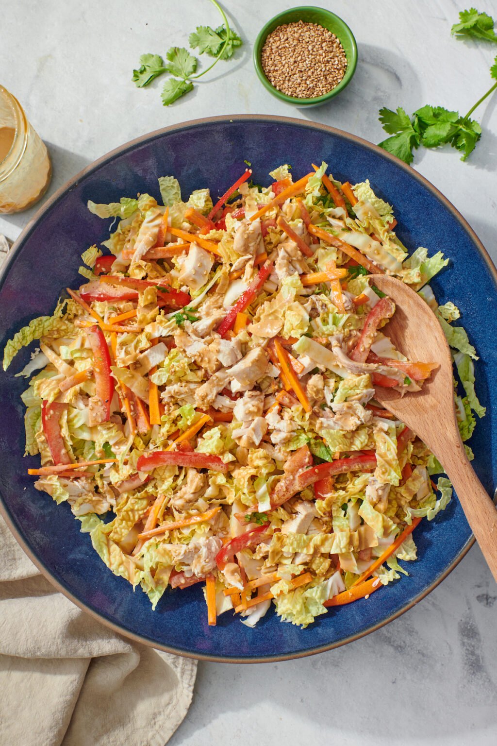 Chinese Chicken Salad - Weelicious