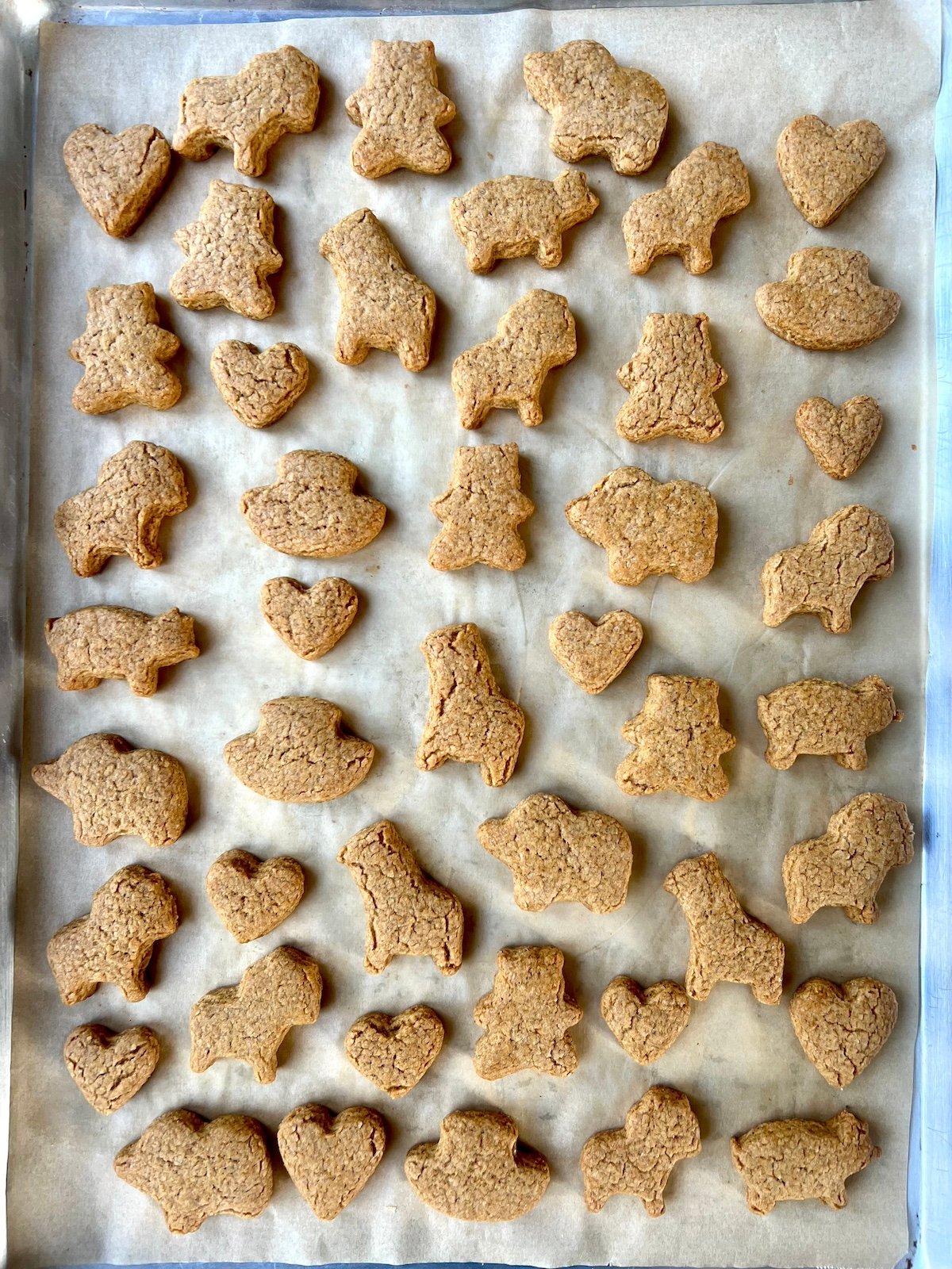 Baked graham crackers on baking sheet.