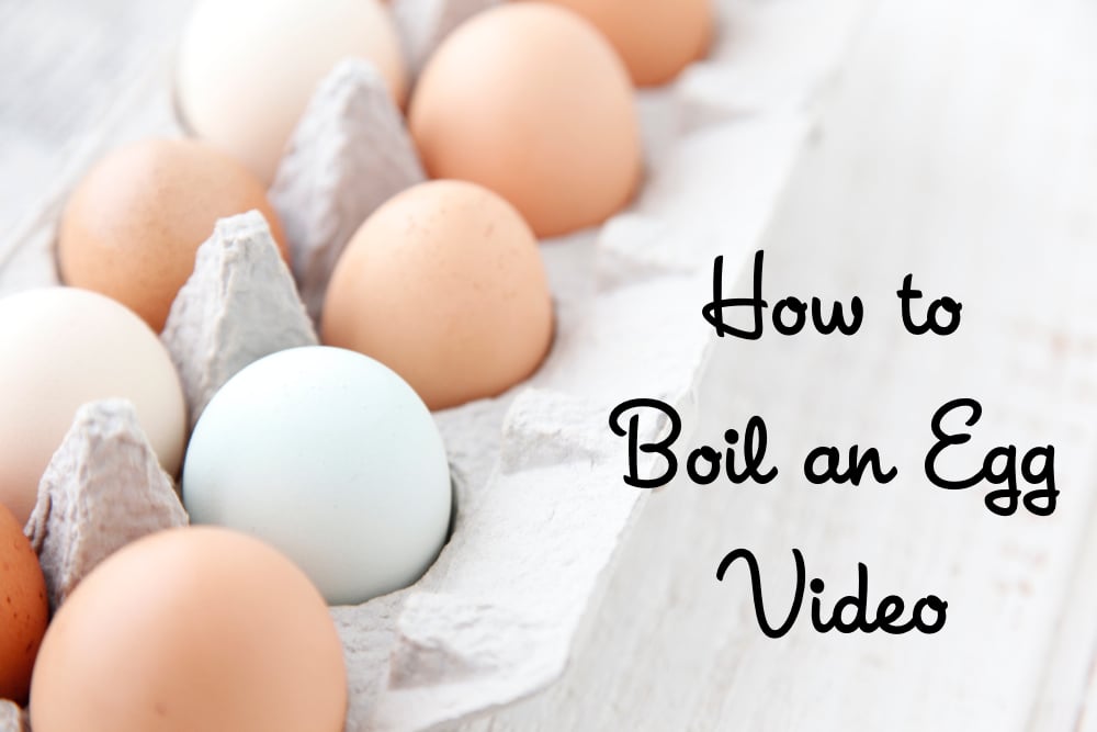 How to Boil an Egg Video from Weelicious