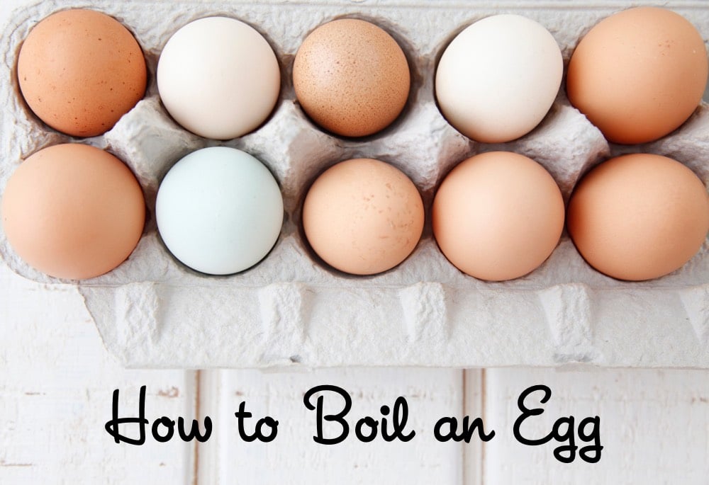 How to Boil an Egg Video from Weelicious