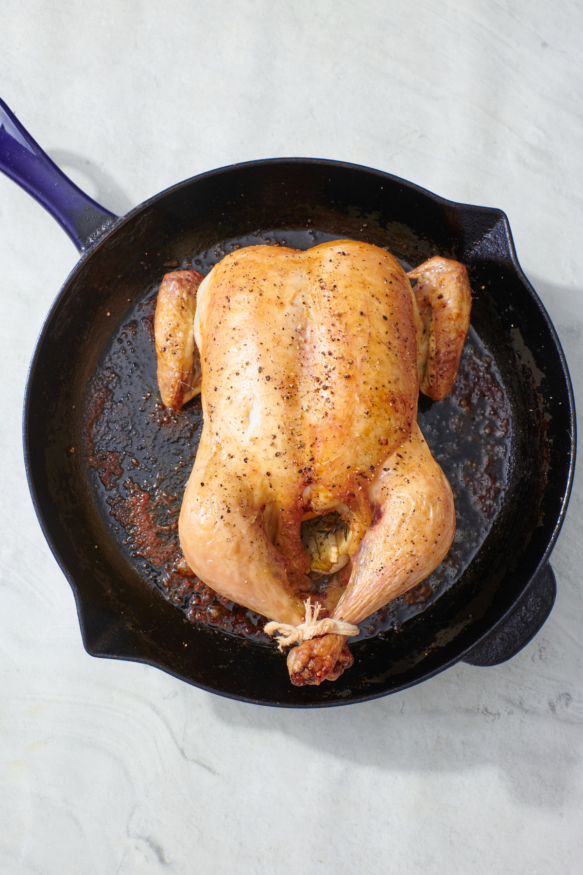 Perfect roast chicken in cast iron skillet out of the oven.