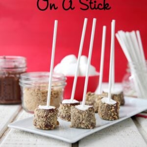 S'mores on a Stick from Weelicious