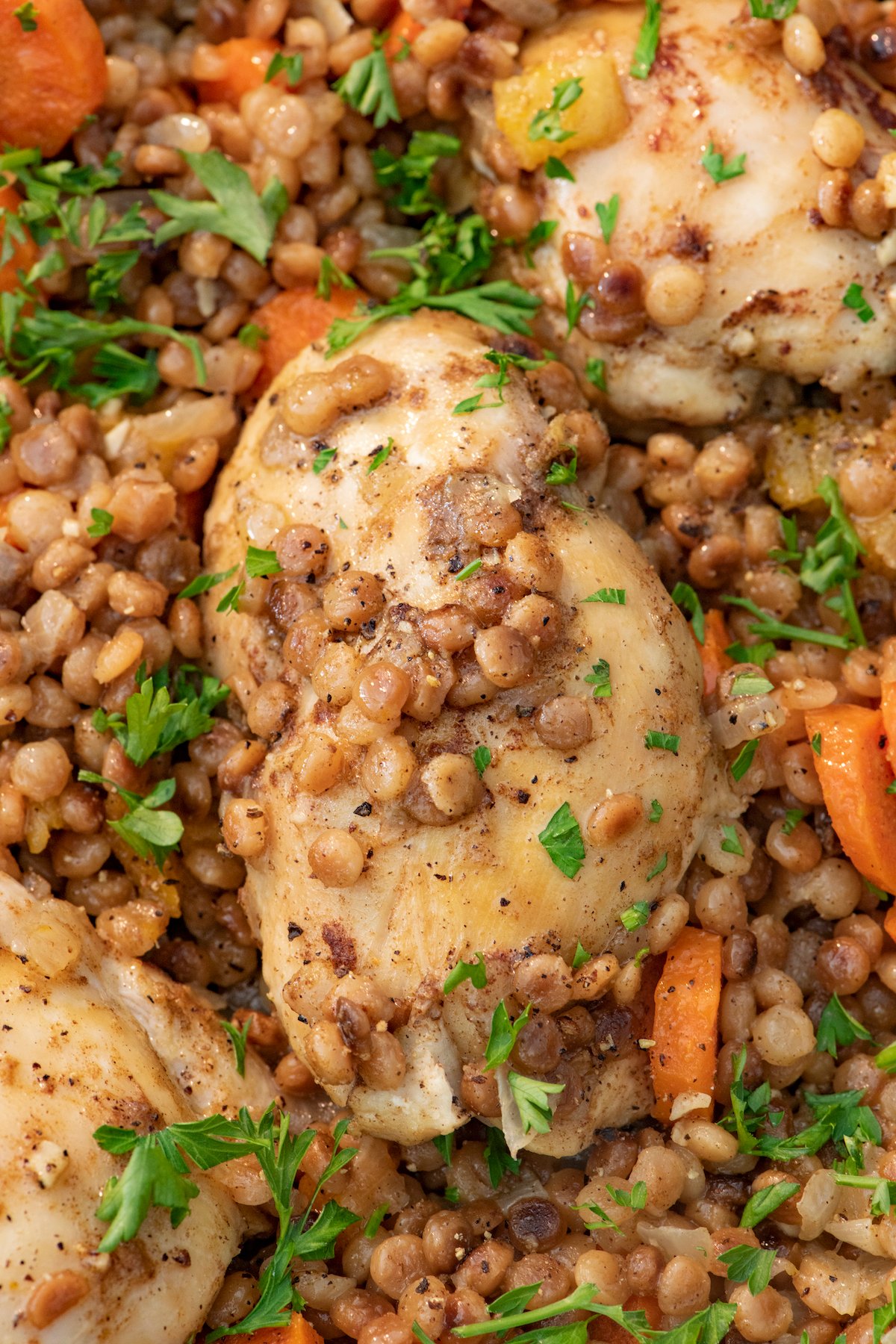 Close up of cooked chicken thighs and Israeli couscous.