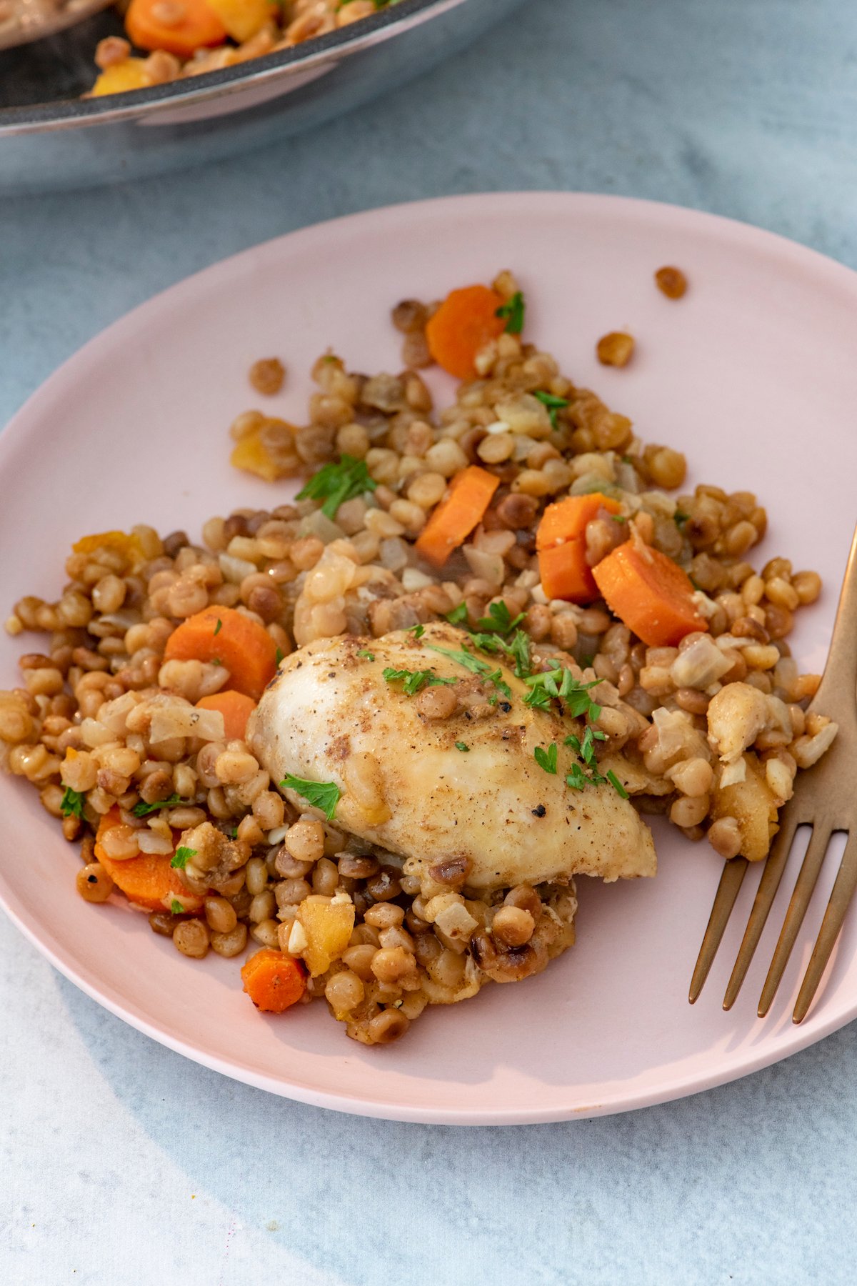 Spiced chicken with toasted couscous on plate.