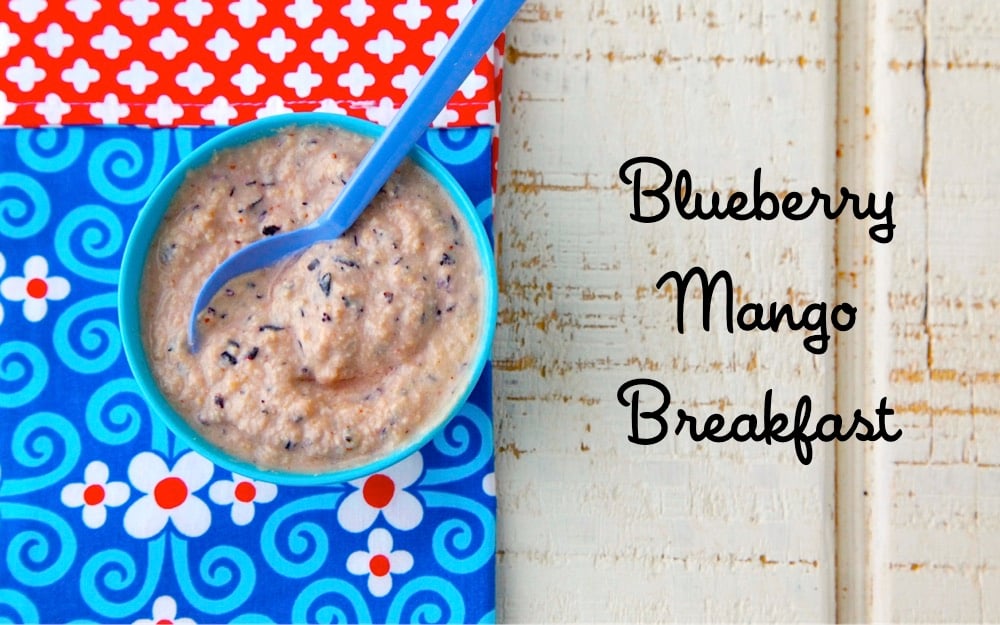 Blueberry Mango Breakfast Baby Food from Weelicious
