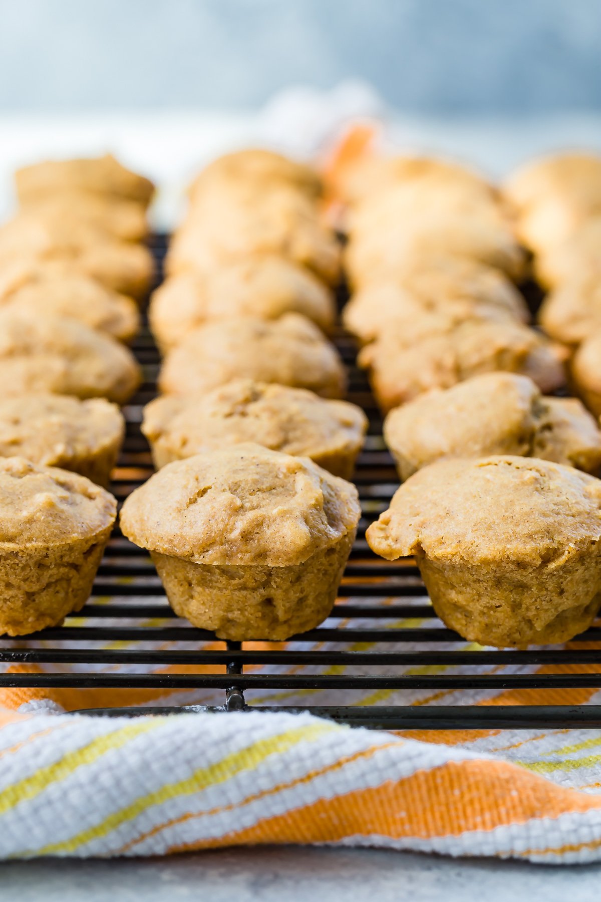 Pumpkin Apple Muffins from Weelicious.com