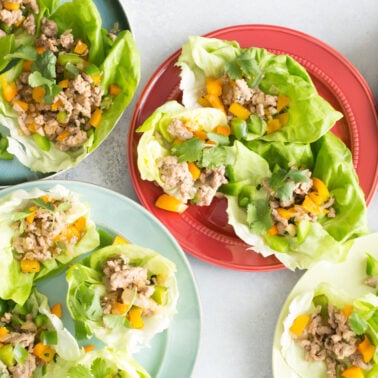Stir Fried Chicken in Lettuce Cups from weelicious.com