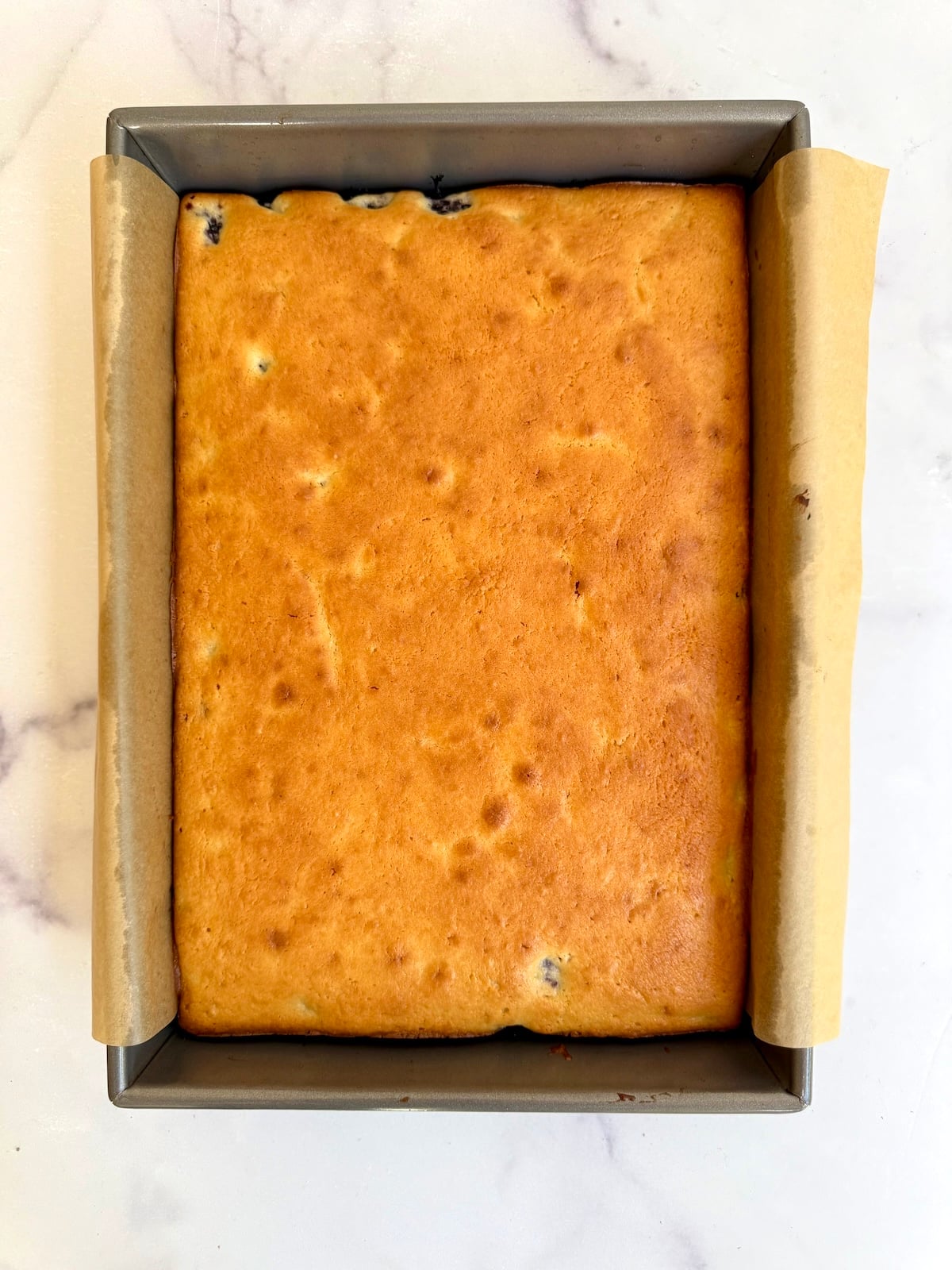 Blackberry tea cake baked golden brown in a parchment-lined pan fresh from the oven.