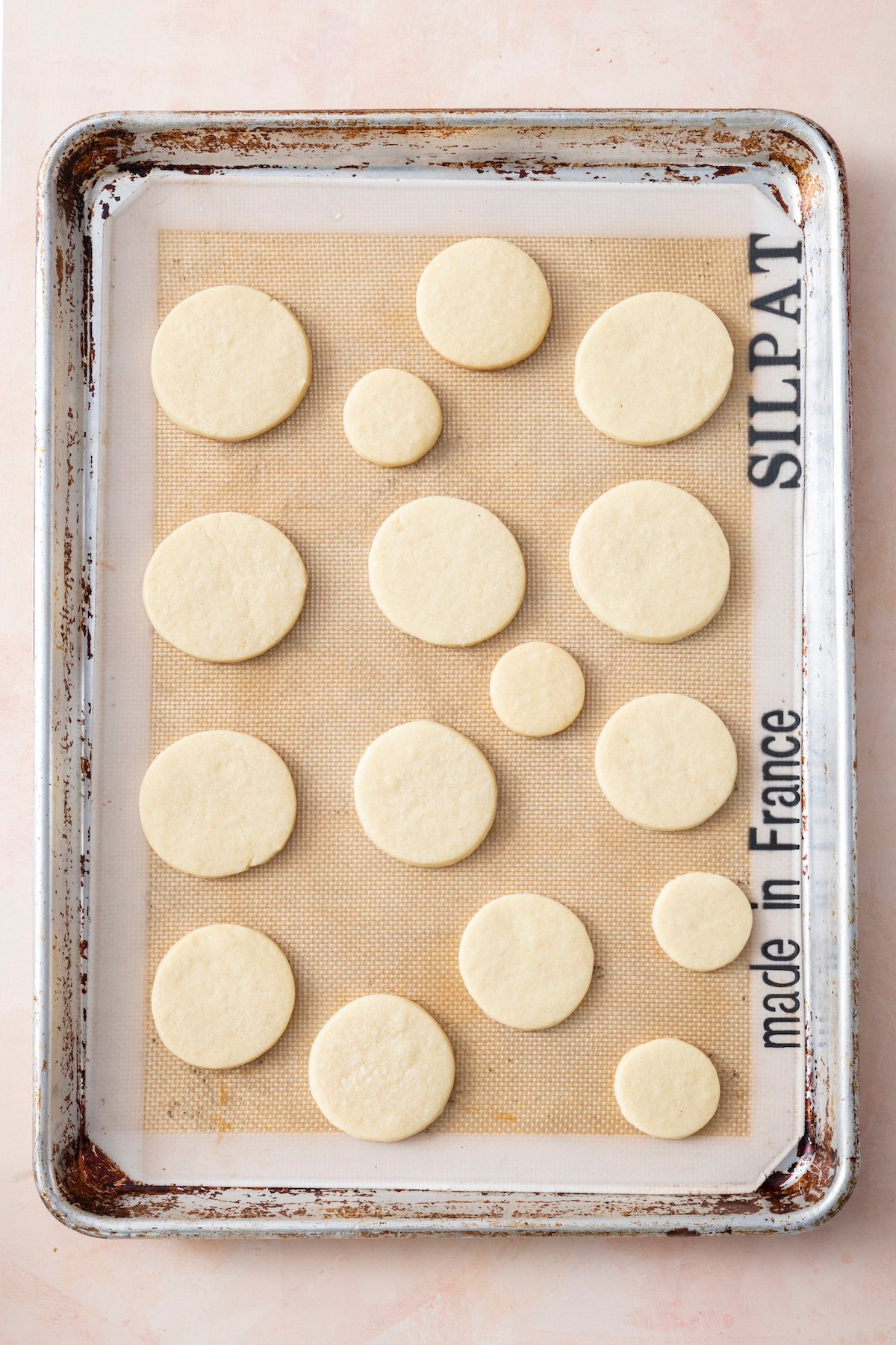 Circle-shaped sugar cookies on baking sheet.