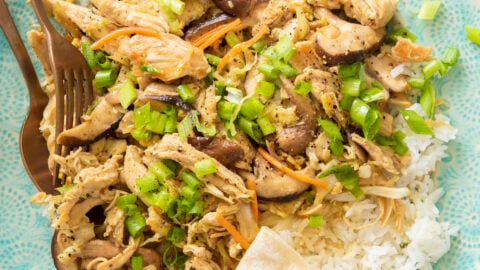 Mu Shu Chicken - Weelicious