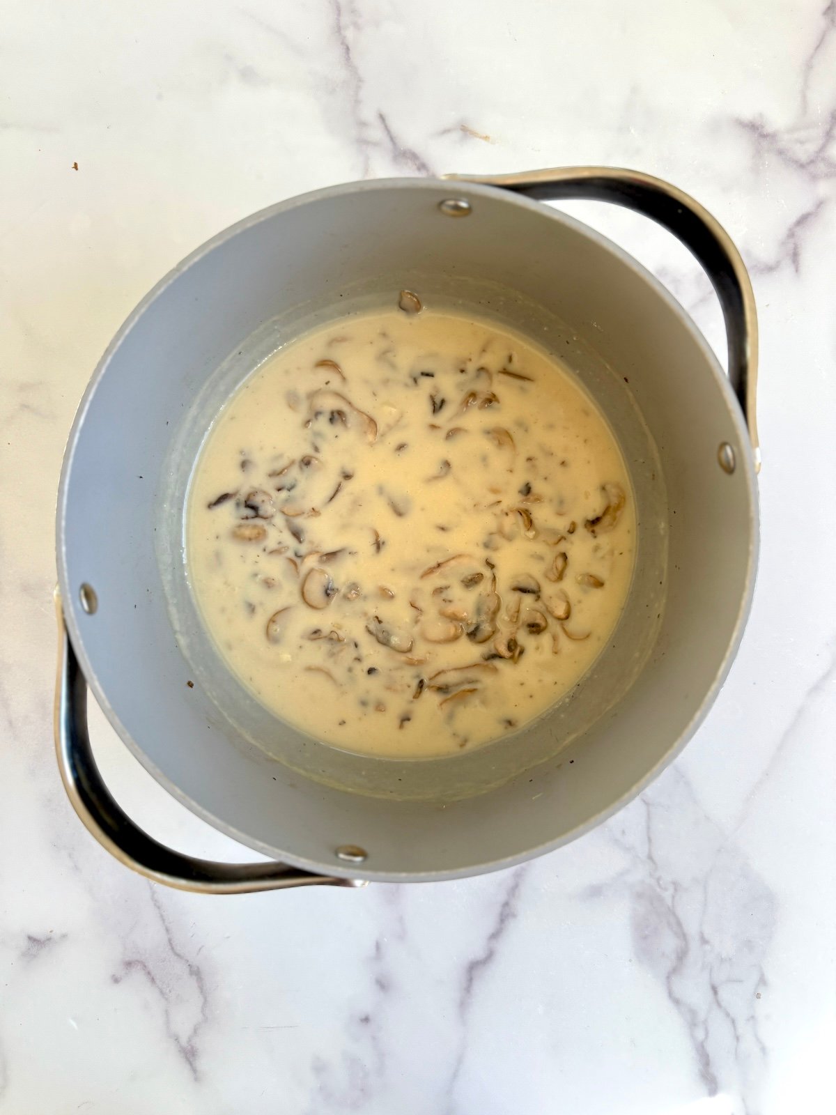 Mushroom sauce in a large pot.
