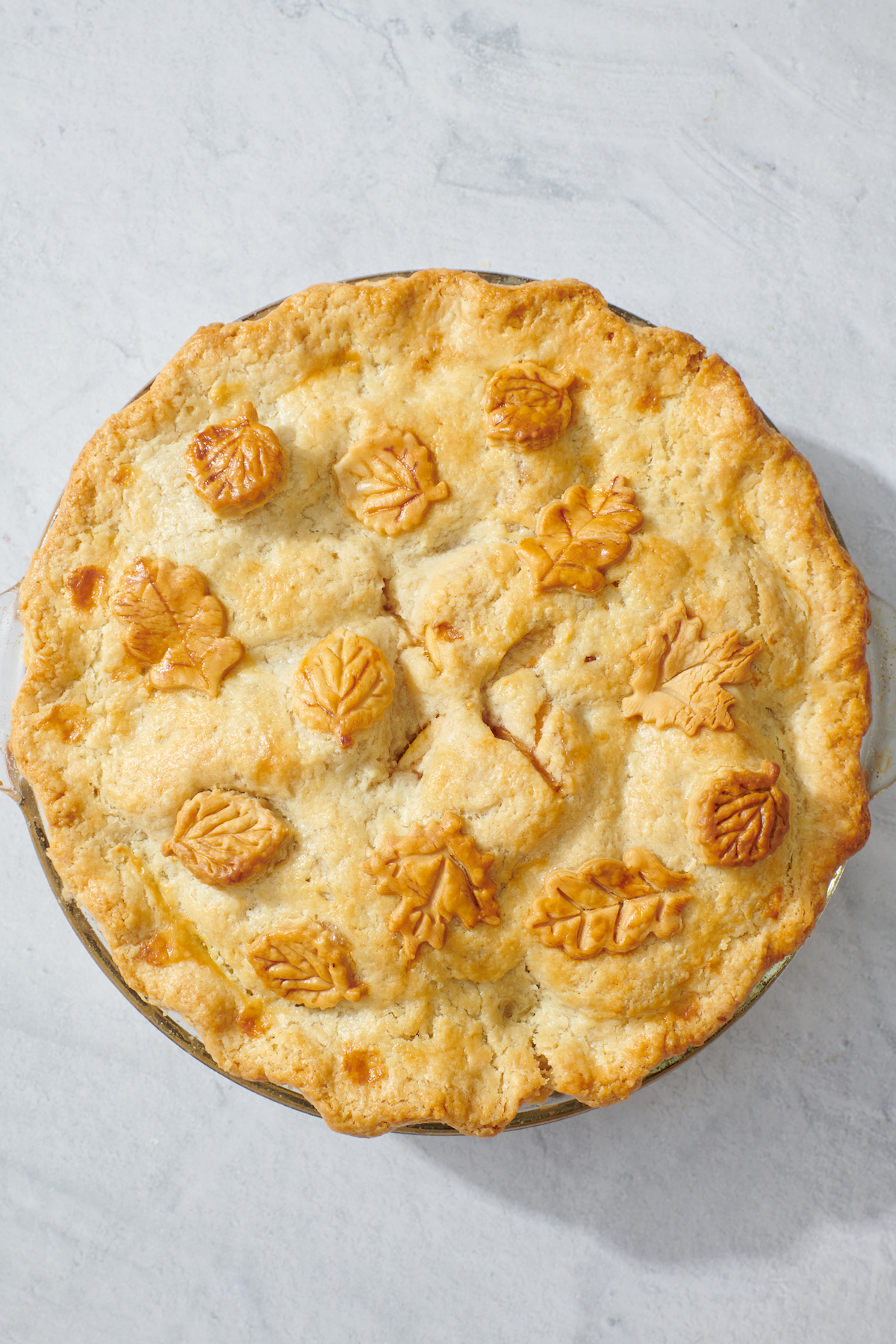 Baked apple pie with leave cutouts for decoration.