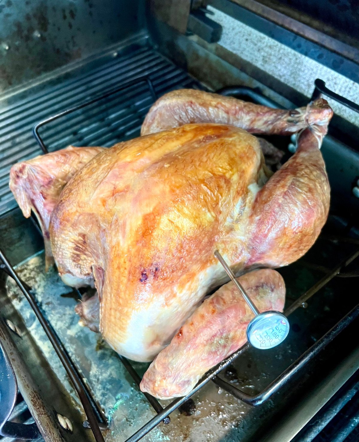 Thermometer in a turkey.