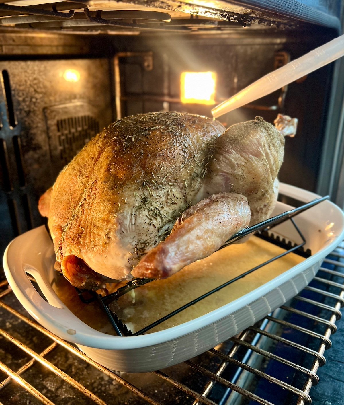 Basting a roasting turkey in the oven.