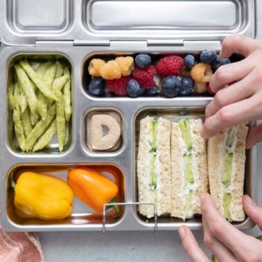 A metal lunchbox with veggie chips, blueberries, raspberries, mini bell peppers, a square dip, and cucumber sandwiches. Two hands are reaching to pick up a sandwich.
